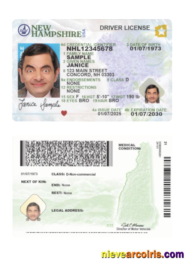 USA New Hampshire driving license 2025-present